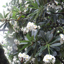 фото из отзыва ID 2744490