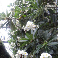 фото из отзыва ID 2744490