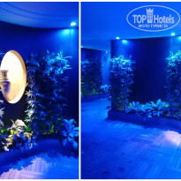 фото из отзыва ID 2744493