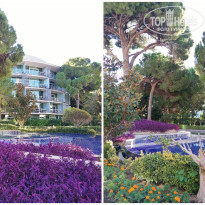 фото из отзыва ID 2744493