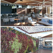 фото из отзыва ID 2744493