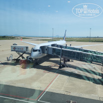 фото из отзыва ID 2744491