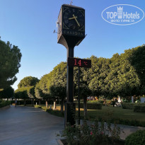 фото из отзыва ID 2744493