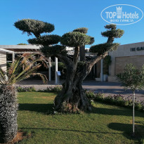 фото из отзыва ID 2744493