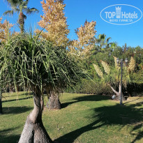 фото из отзыва ID 2744493