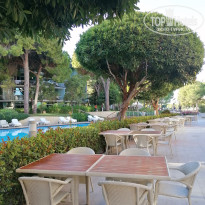 фото из отзыва ID 2744493