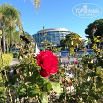 фото из отзыва ID 2744493