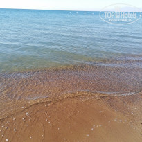 фото из отзыва ID 2744493