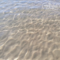 фото из отзыва ID 2744493