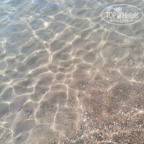 фото из отзыва ID 2744493