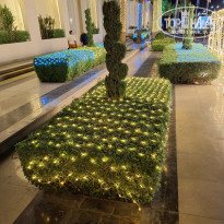 фото из отзыва ID 2744505