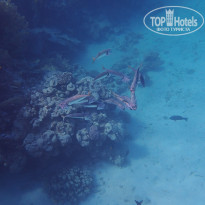 фото из отзыва ID 2744512