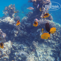 фото из отзыва ID 2744512