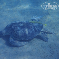 фото из отзыва ID 2744512