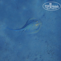 фото из отзыва ID 2744512