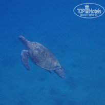 фото из отзыва ID 2744512