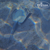 фото из отзыва ID 2744512