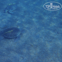 фото из отзыва ID 2744512