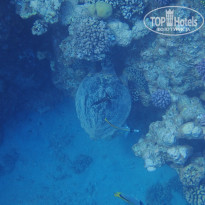 фото из отзыва ID 2744512