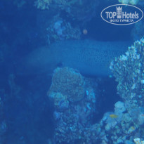 фото из отзыва ID 2744512