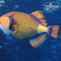 фото из отзыва ID 2744512