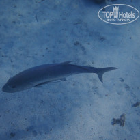 фото из отзыва ID 2744512