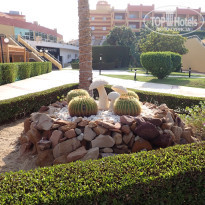 фото из отзыва ID 2744512