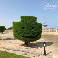 фото из отзыва ID 2744512