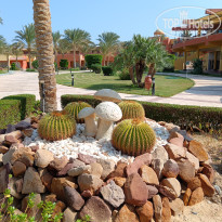 фото из отзыва ID 2744512