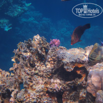 фото из отзыва ID 2744512