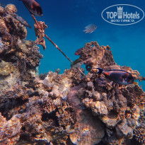 фото из отзыва ID 2744512