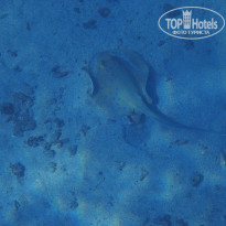 фото из отзыва ID 2744512