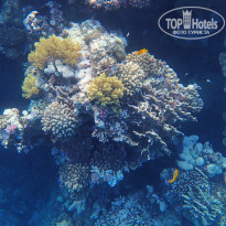 фото из отзыва ID 2744512