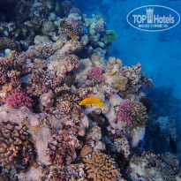 фото из отзыва ID 2744512