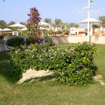 фото из отзыва ID 2744512