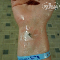 фото из отзыва ID 2744533