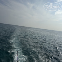 фото из отзыва ID 2744541