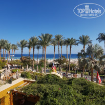 фото из отзыва ID 2744558