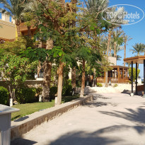 фото из отзыва ID 2744558