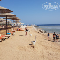 фото из отзыва ID 2744558