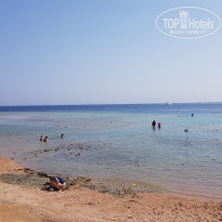 фото из отзыва ID 2744558