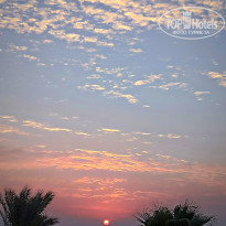 фото из отзыва ID 2744596