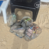 фото из отзыва ID 2744608