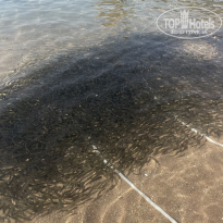 фото из отзыва ID 2744606