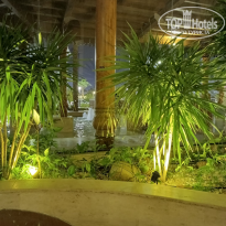 фото из отзыва ID 2744606