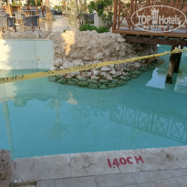 фото из отзыва ID 2744606