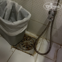 фото из отзыва ID 2744606