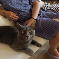 фото из отзыва ID 2744606