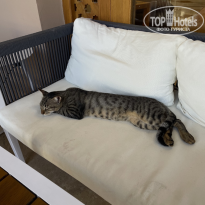 фото из отзыва ID 2744606