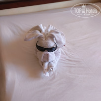 фото из отзыва ID 2744616